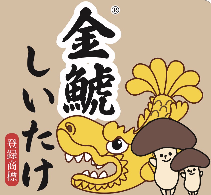 金鯱イラスト